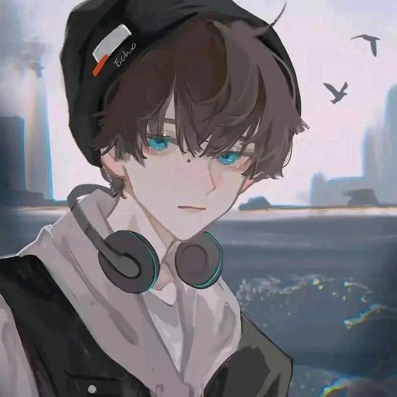 路遥D