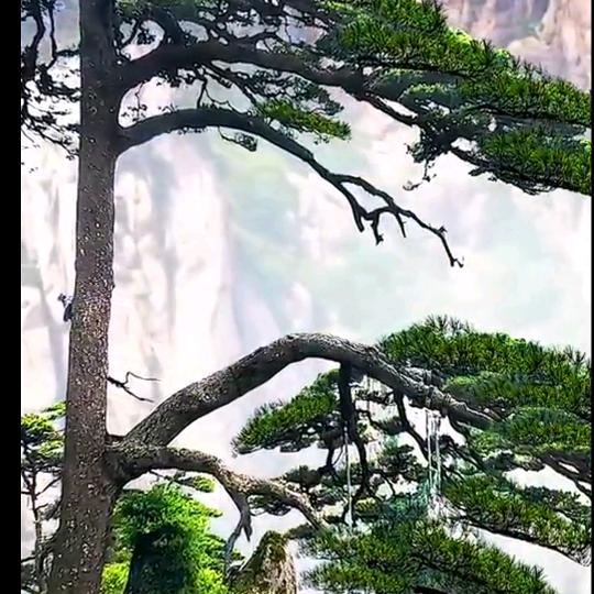 开心万岁·