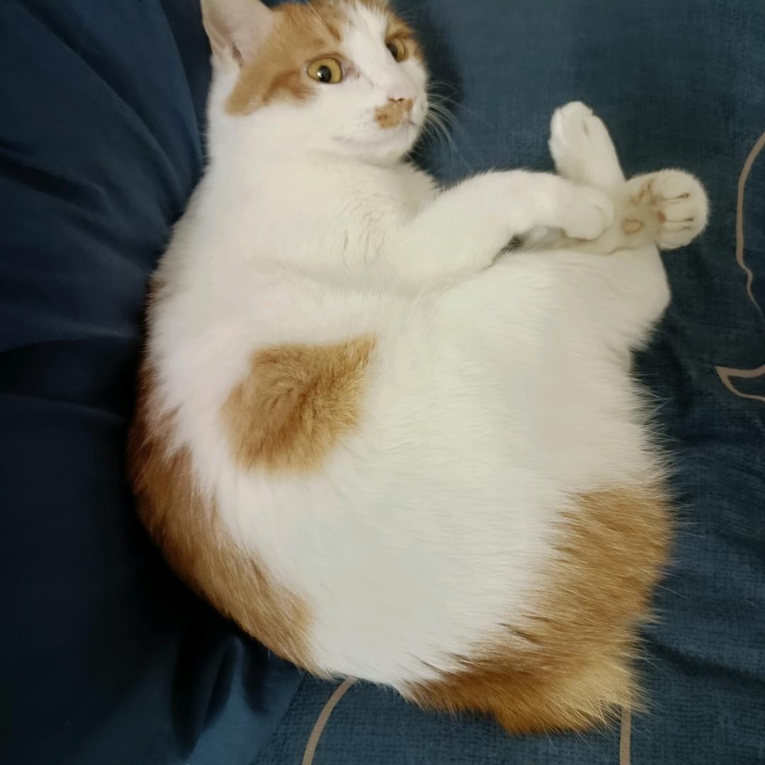 瓜瓜ART ME轻奢衣橱