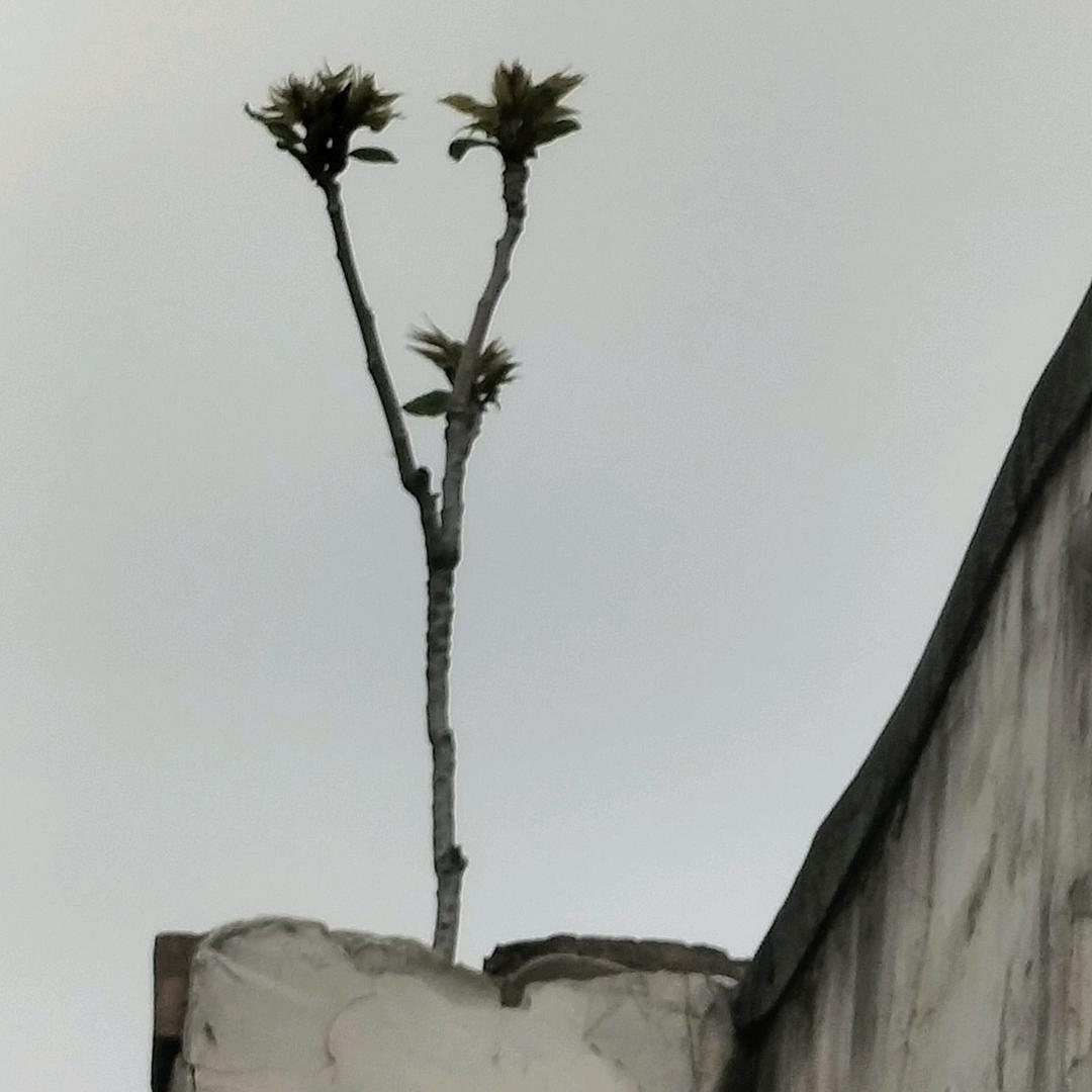 田帅哥。外墙真石漆。