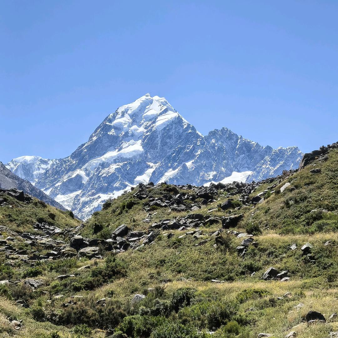 我有一颗大胖蛋