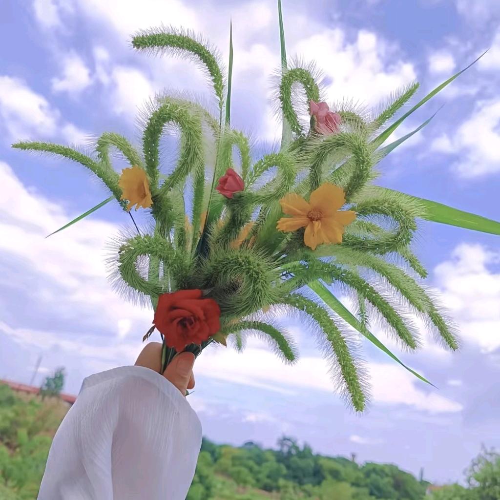 ˁ˙˟˙ˀ只为邓你ˁ˙˟˙ˀ