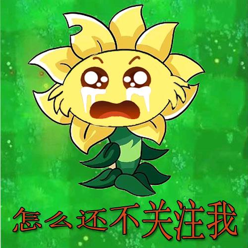 南风