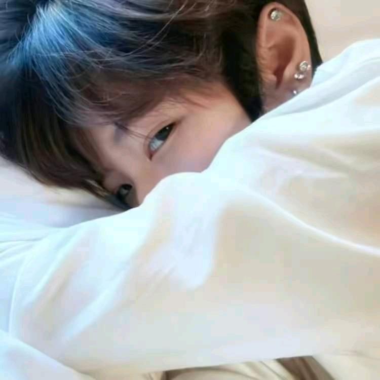 ︋︋︋︋︋︋   ㅤ ㅤㅤㅤ