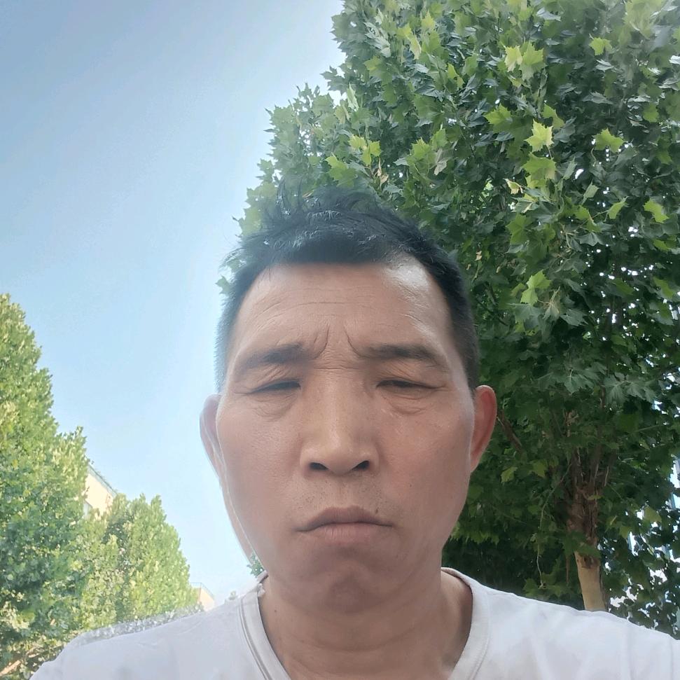 杨廷朝