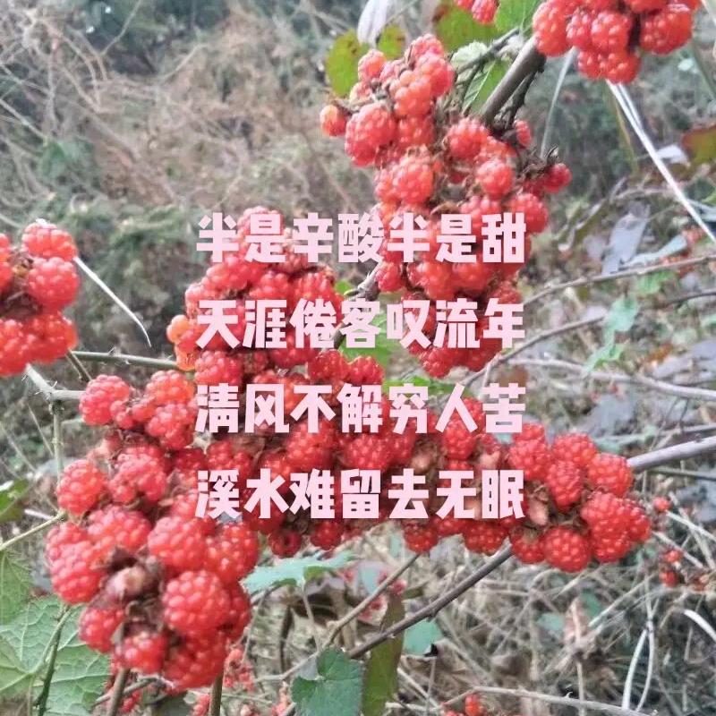 一切随和