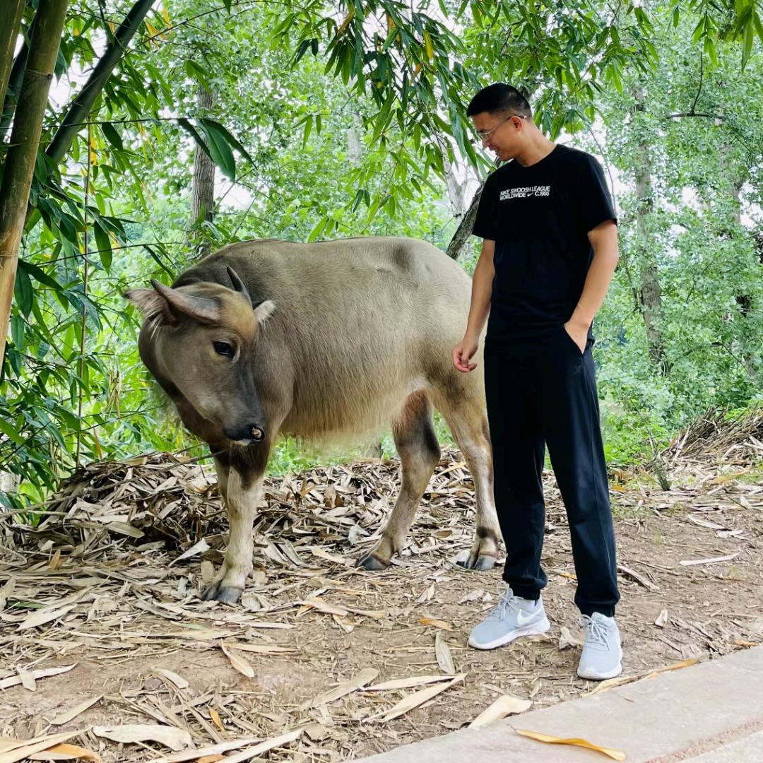 荣昌-洪楼吏说房