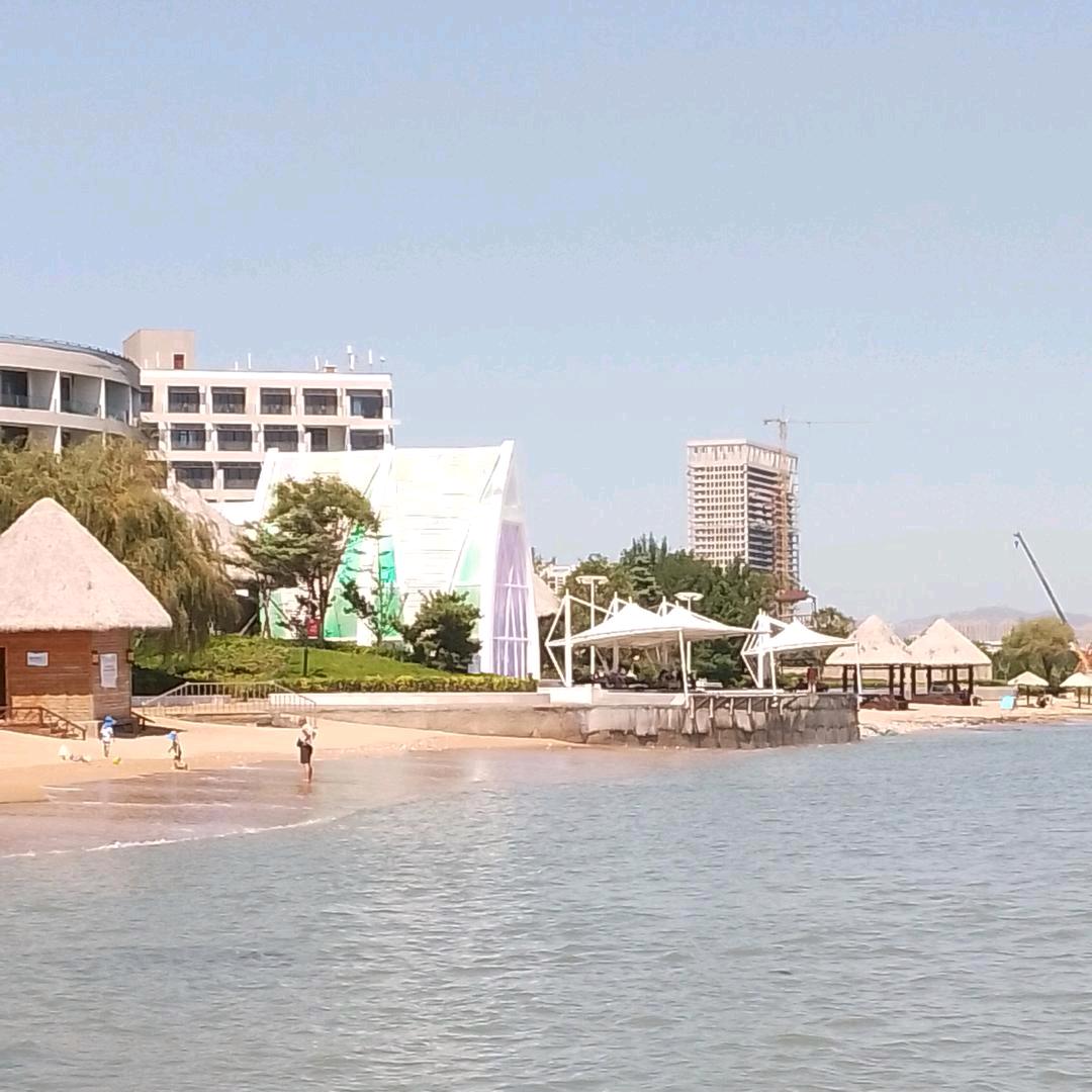 阿雷