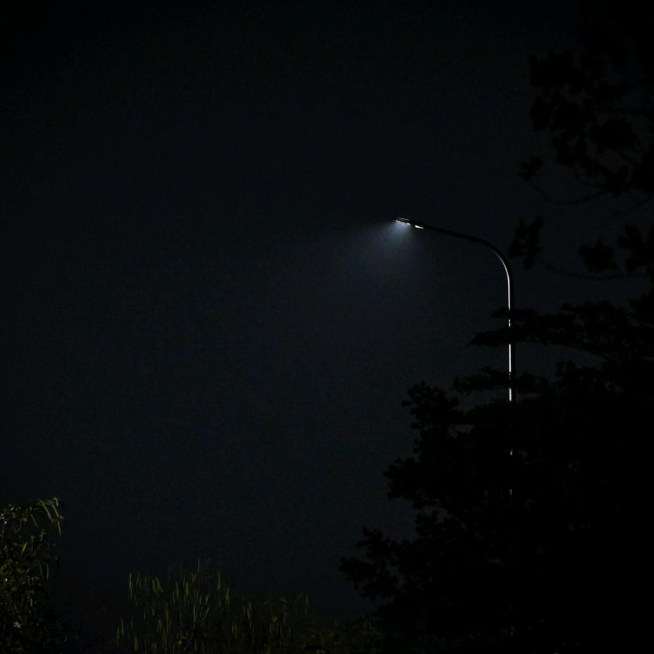 起了个特别的名字