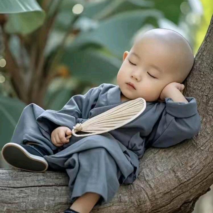 郑能量