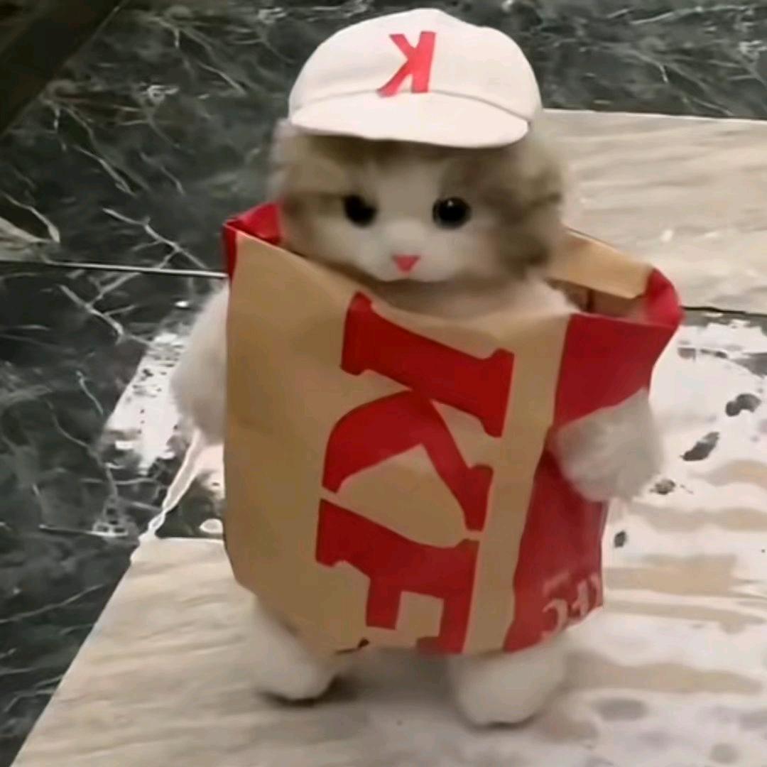 桉.