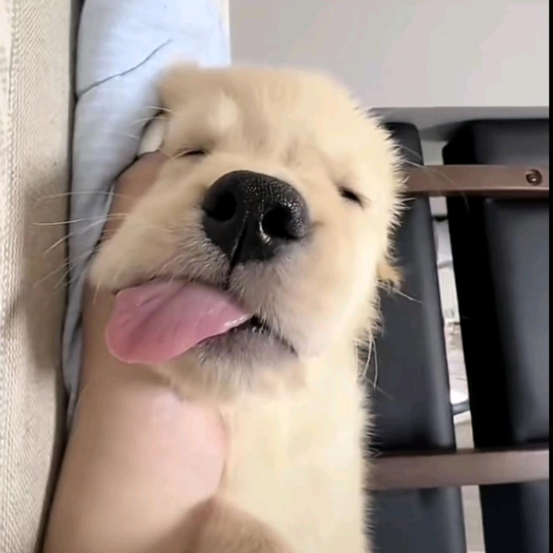纸包鱼