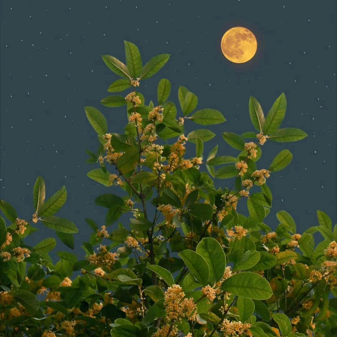 简单快乐