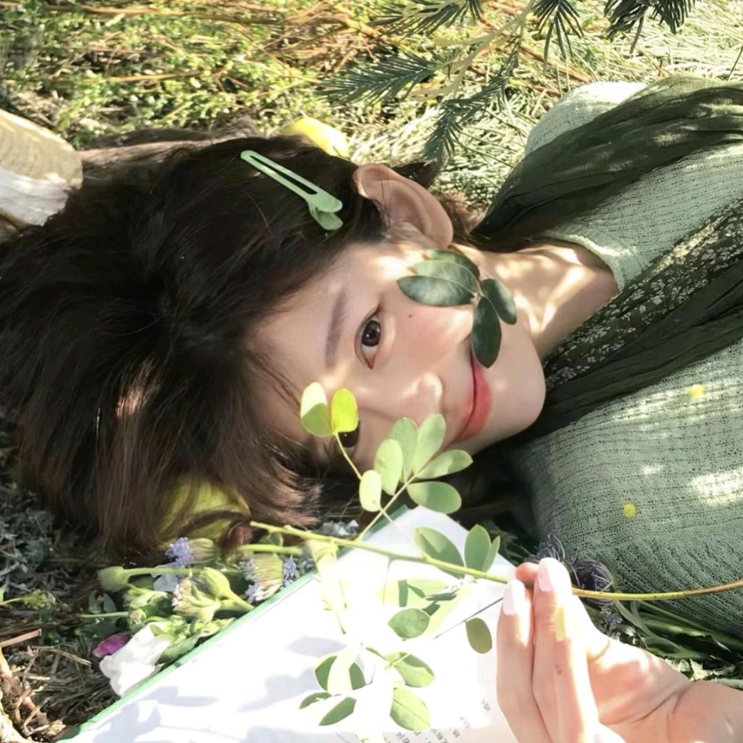 Y🐰