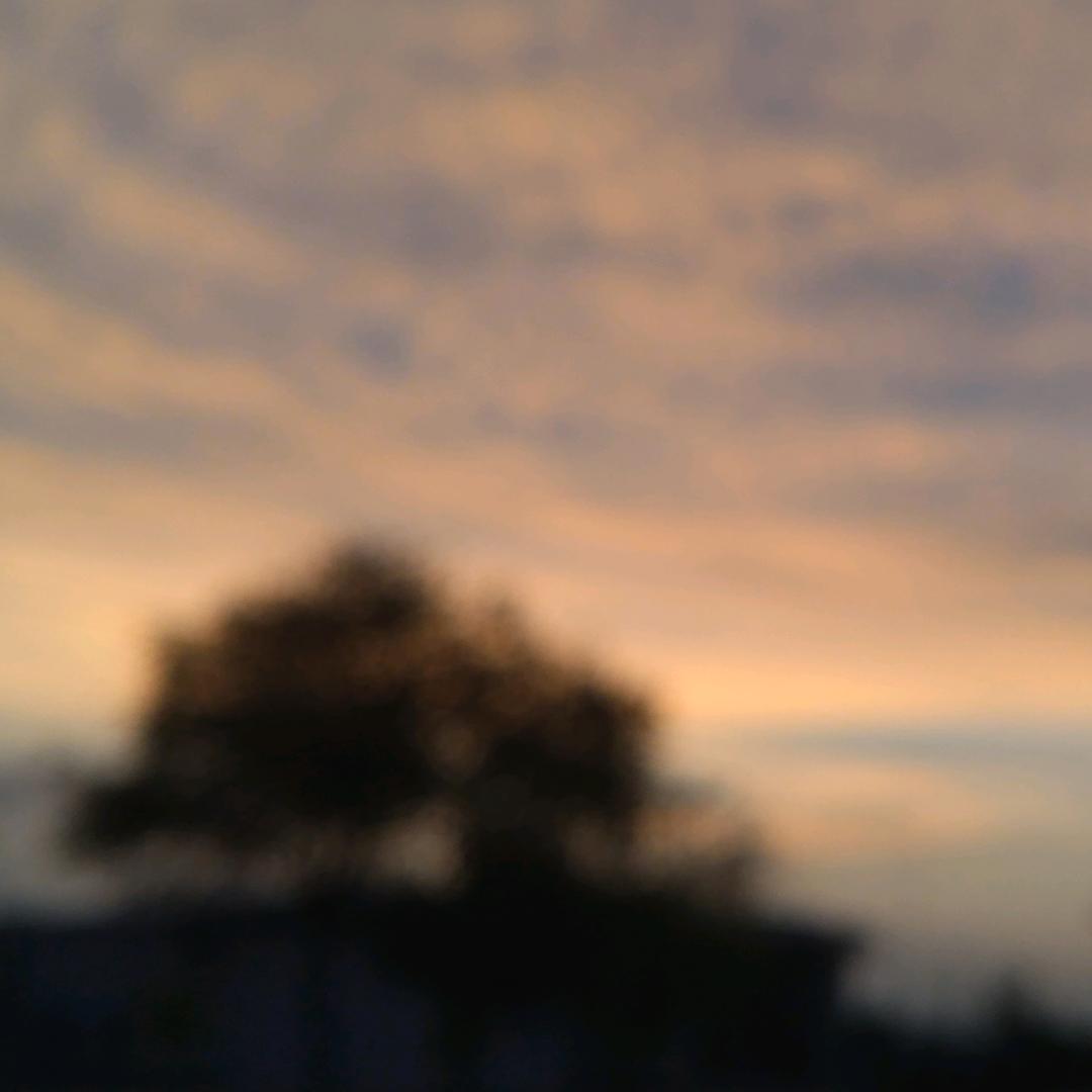 Dust in the wind