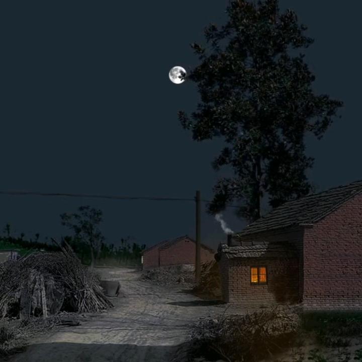 ，  Z雷