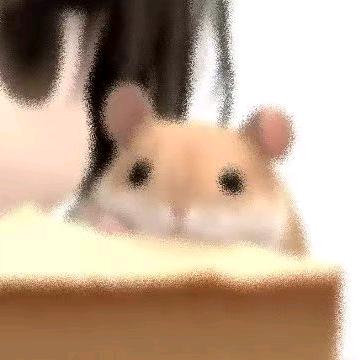 ͏͏林白