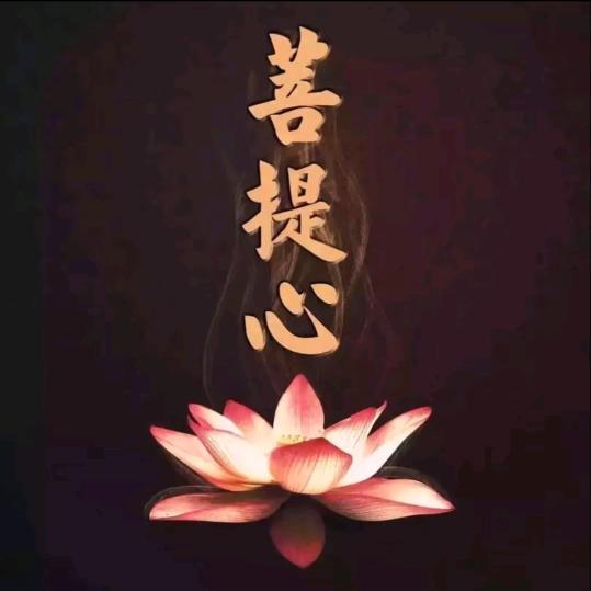 七安·An