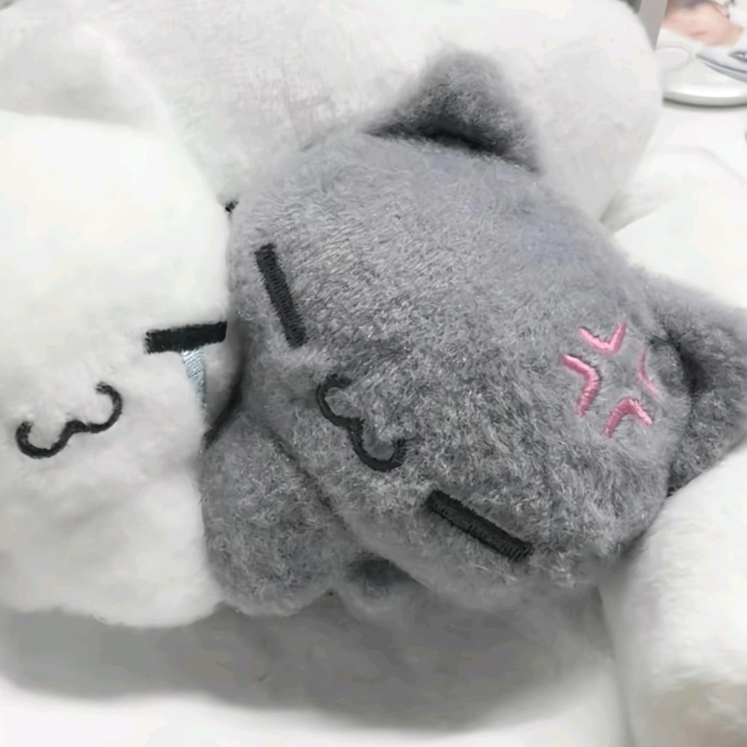 15天引爆全宇宙（退网版）