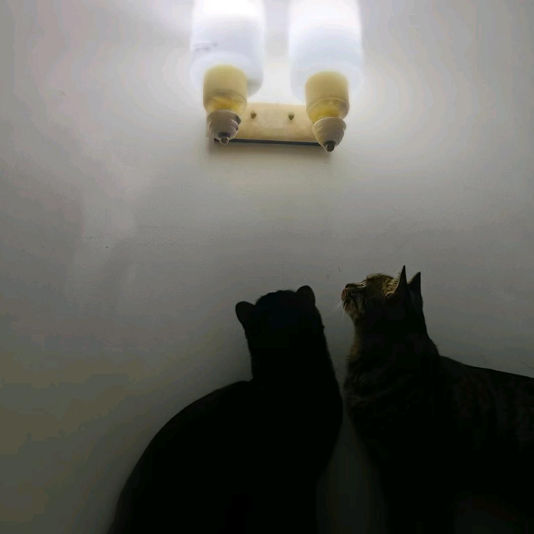 某某        好巧     