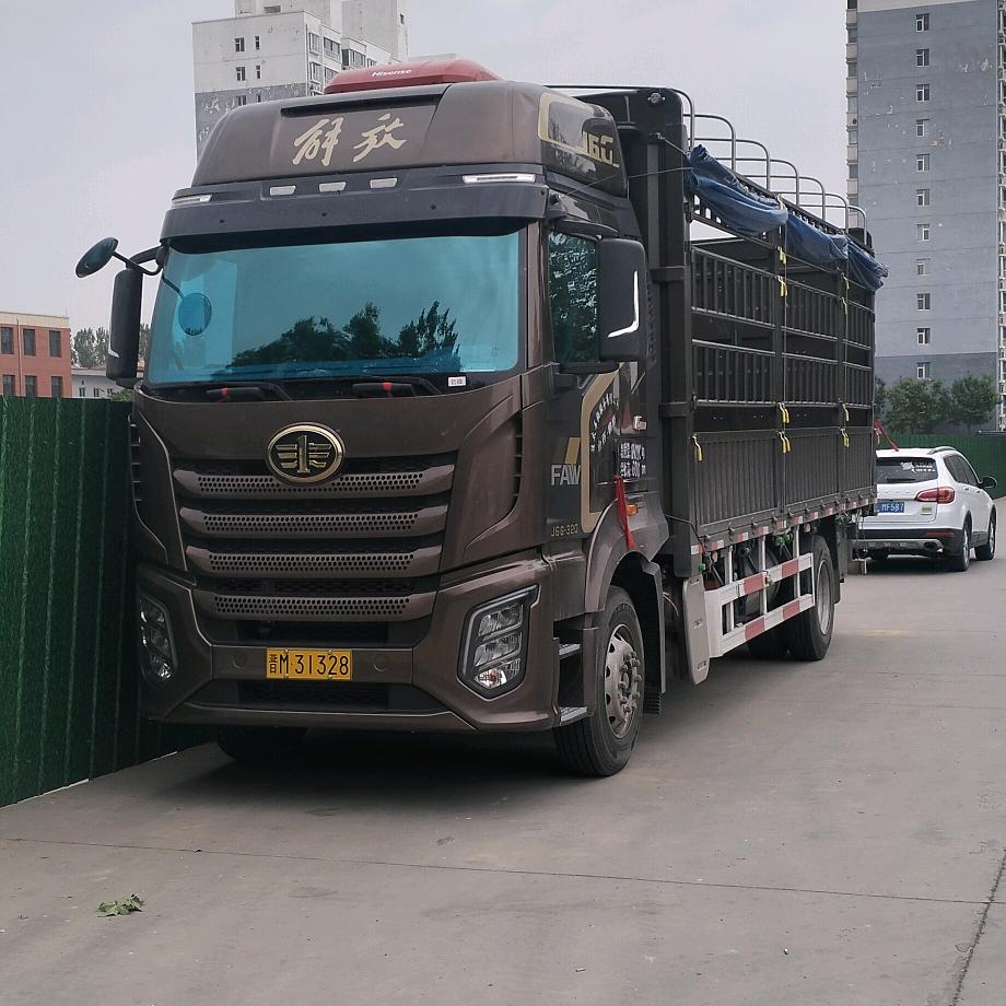 什么是真的
