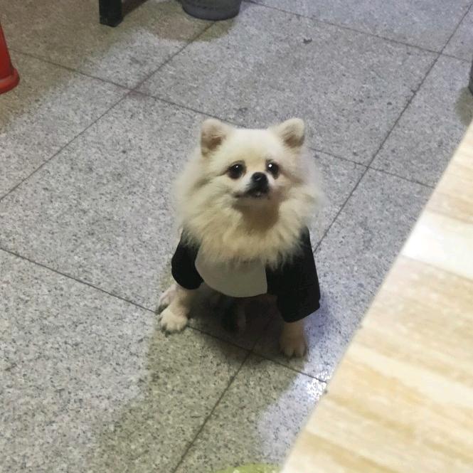 俺家小狐狸