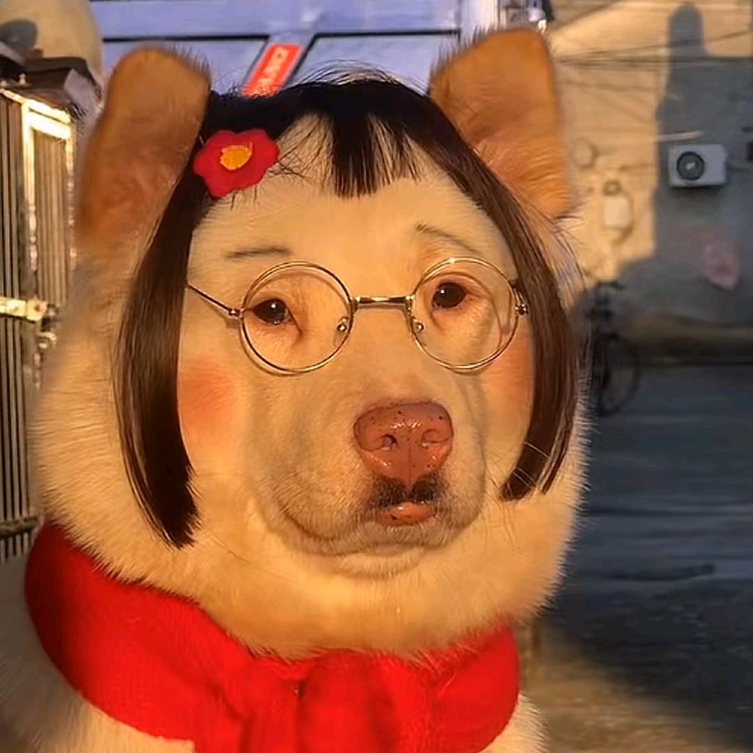 @用电鳗电电电鳗电鳗会不会被电鳗电电死