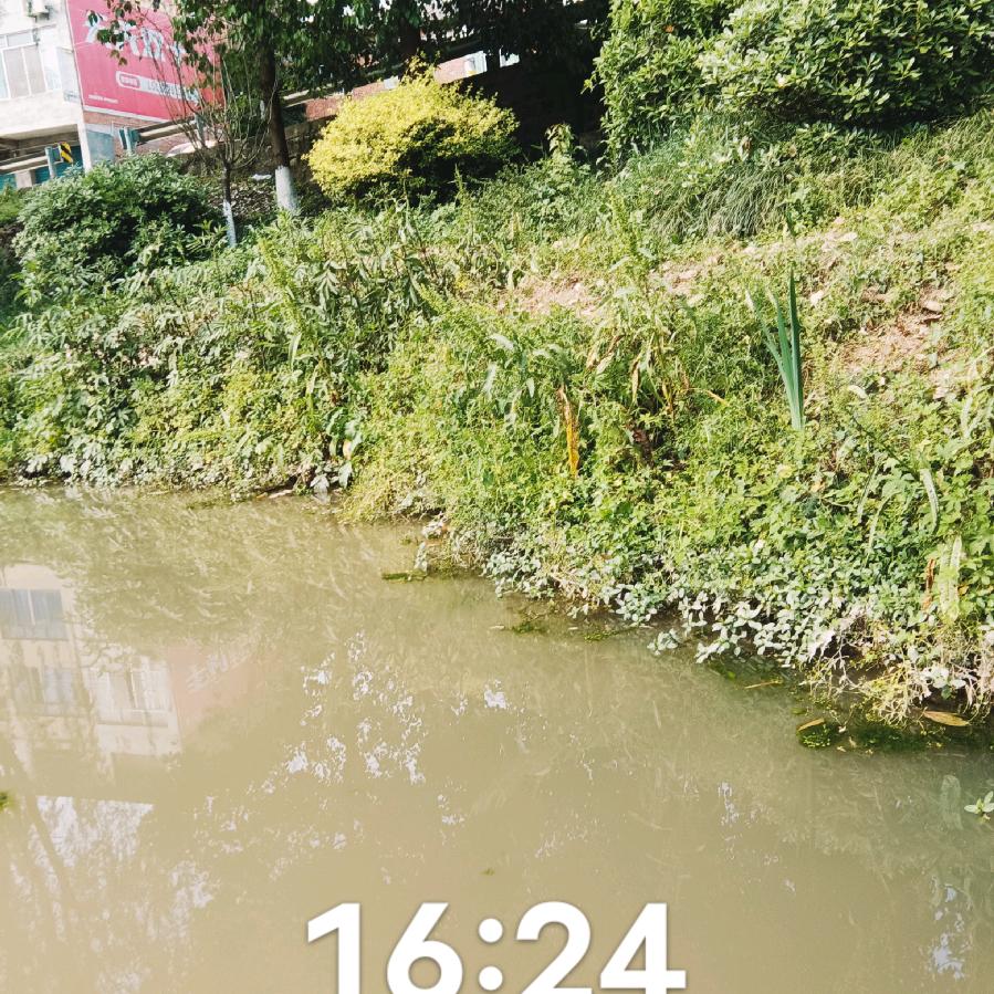今生有你足矣