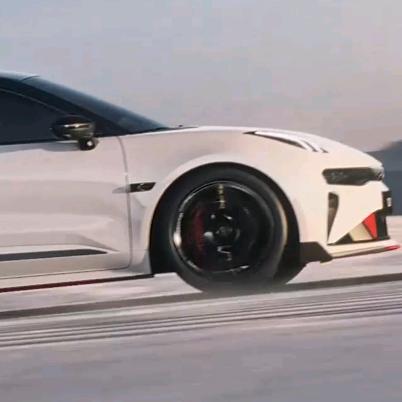 云山海山野自助火锅官方号