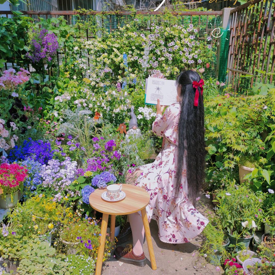 二夏啊二夏