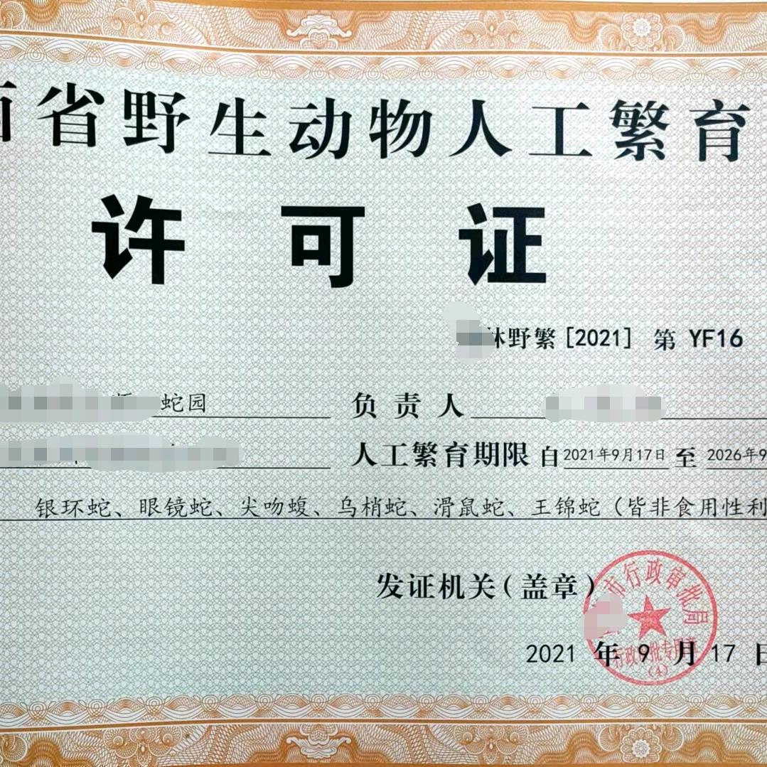 蓝橙：养蛇业