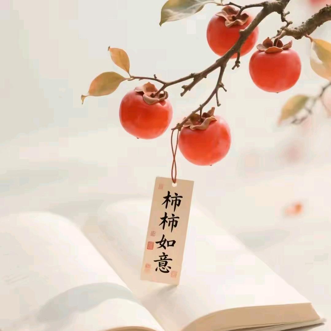 🍊懒阳阳