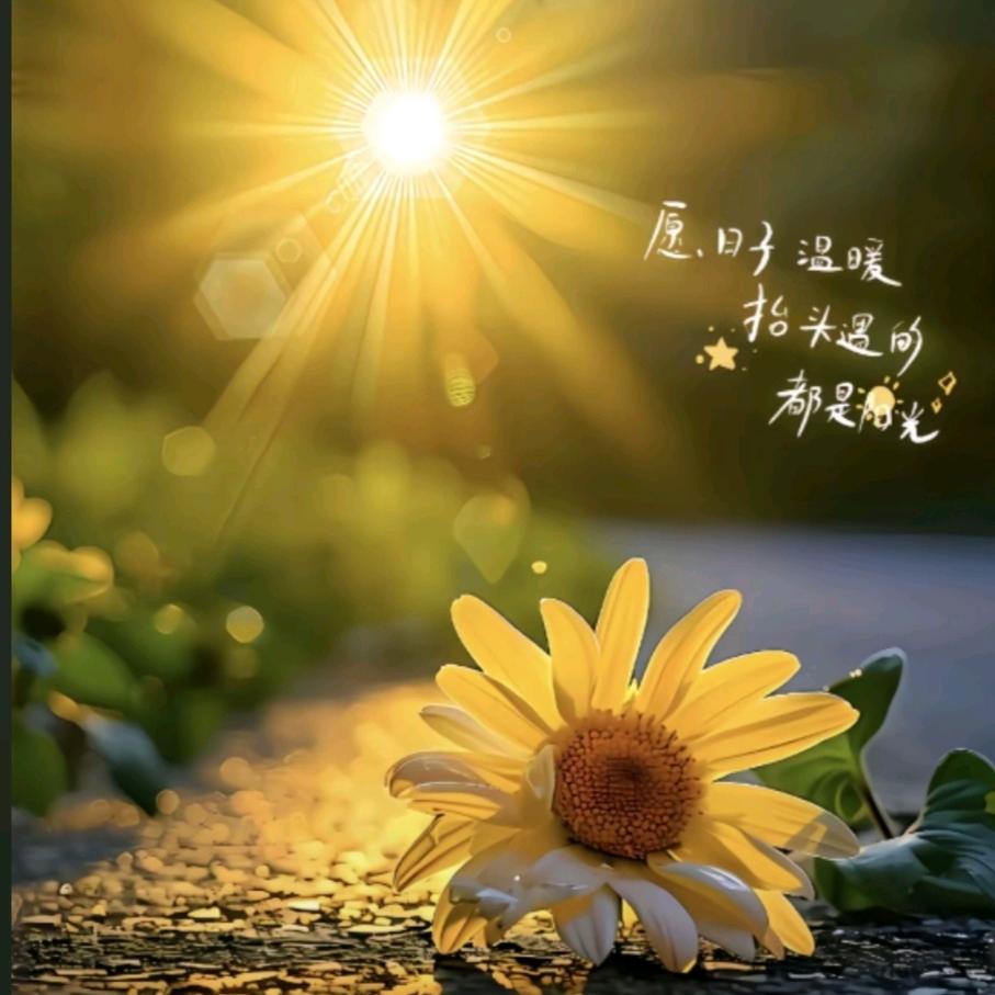 ℳ̶̶̶̶♡̶҉ℳᥫᩣ