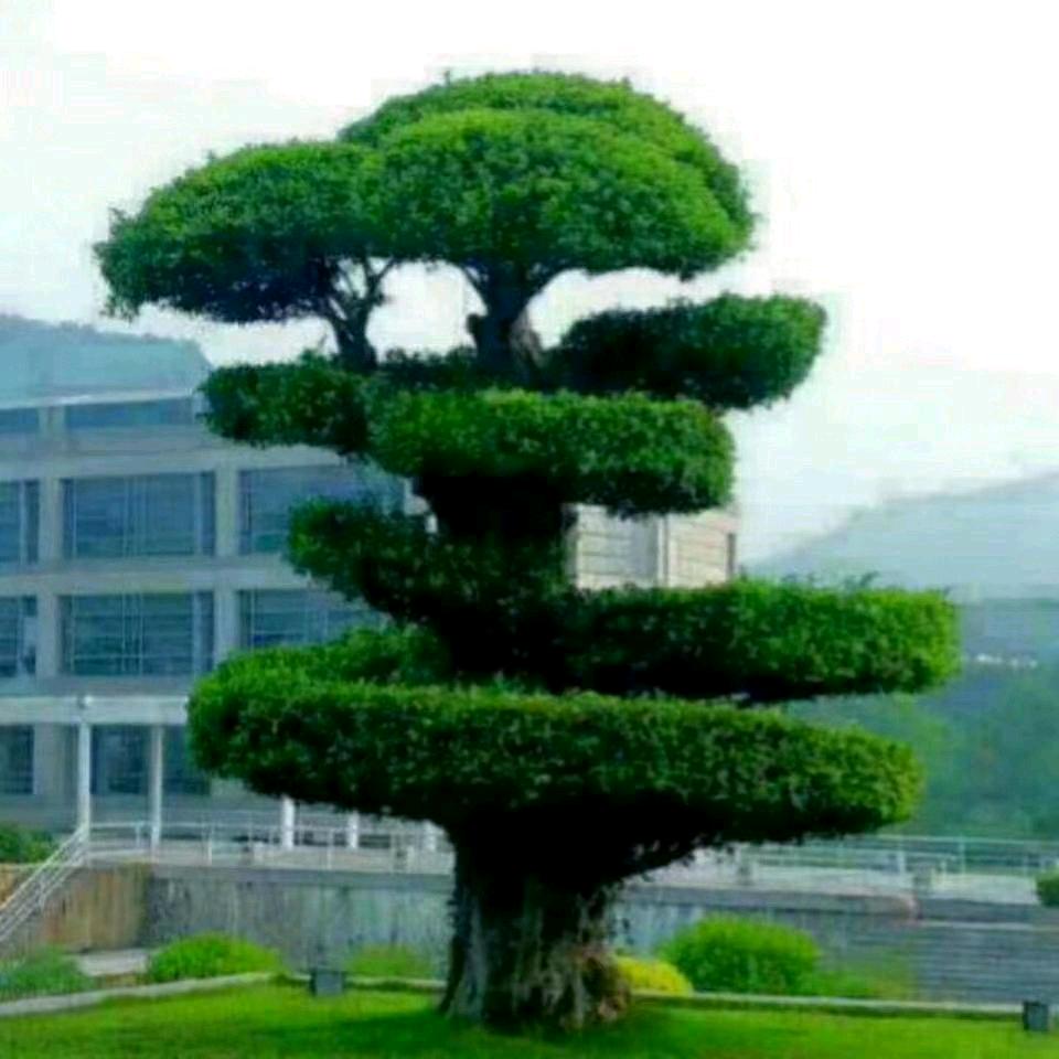 努力拼搏