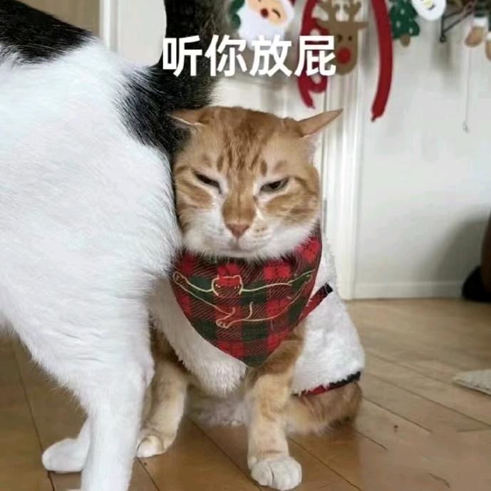 拳体启力