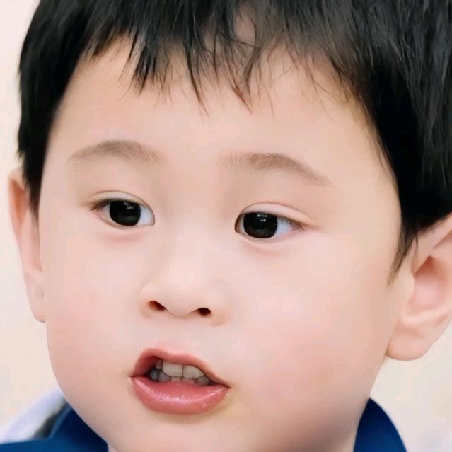 香葱胡萝卜白菜