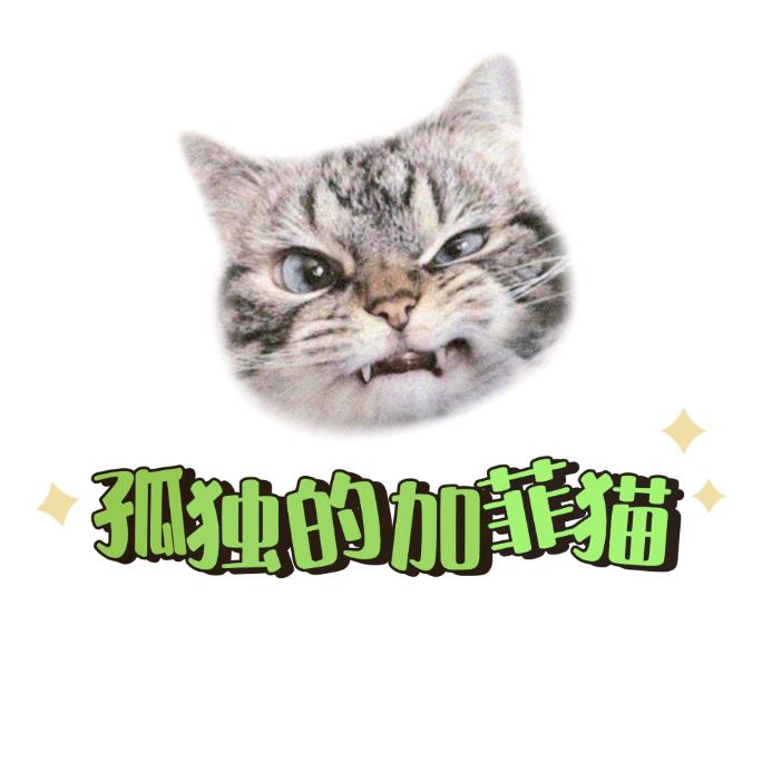 孤独的加菲猫