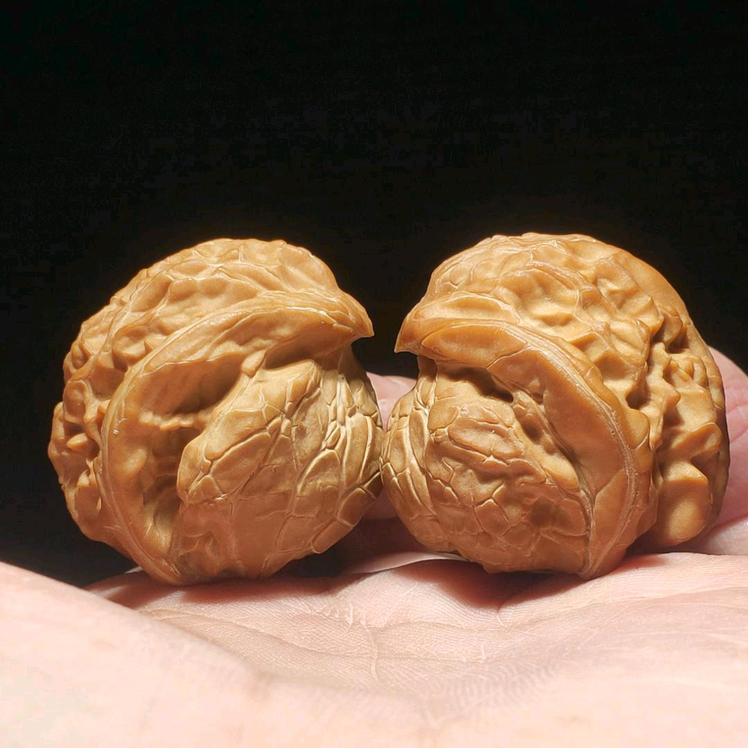 核桃专家