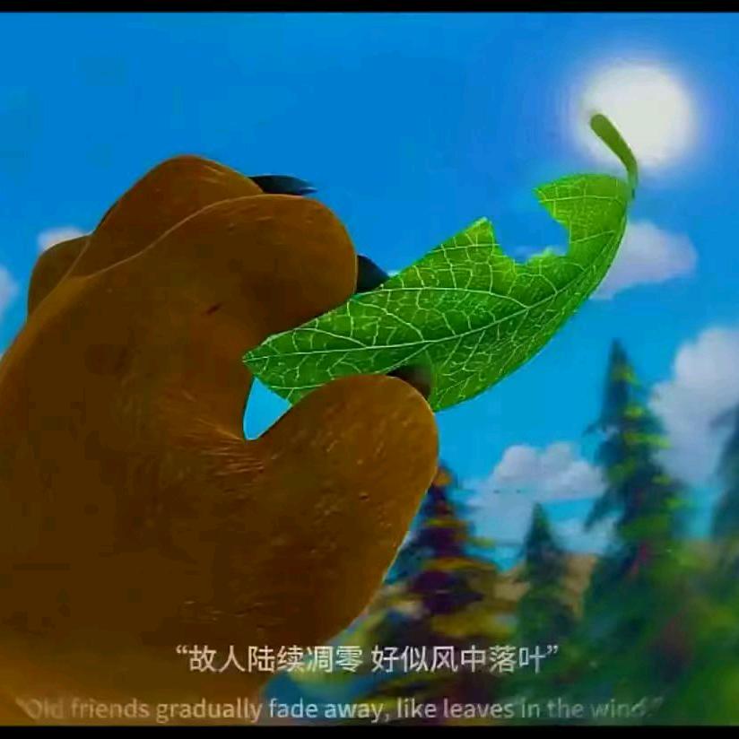 我有不能输的理由🍀