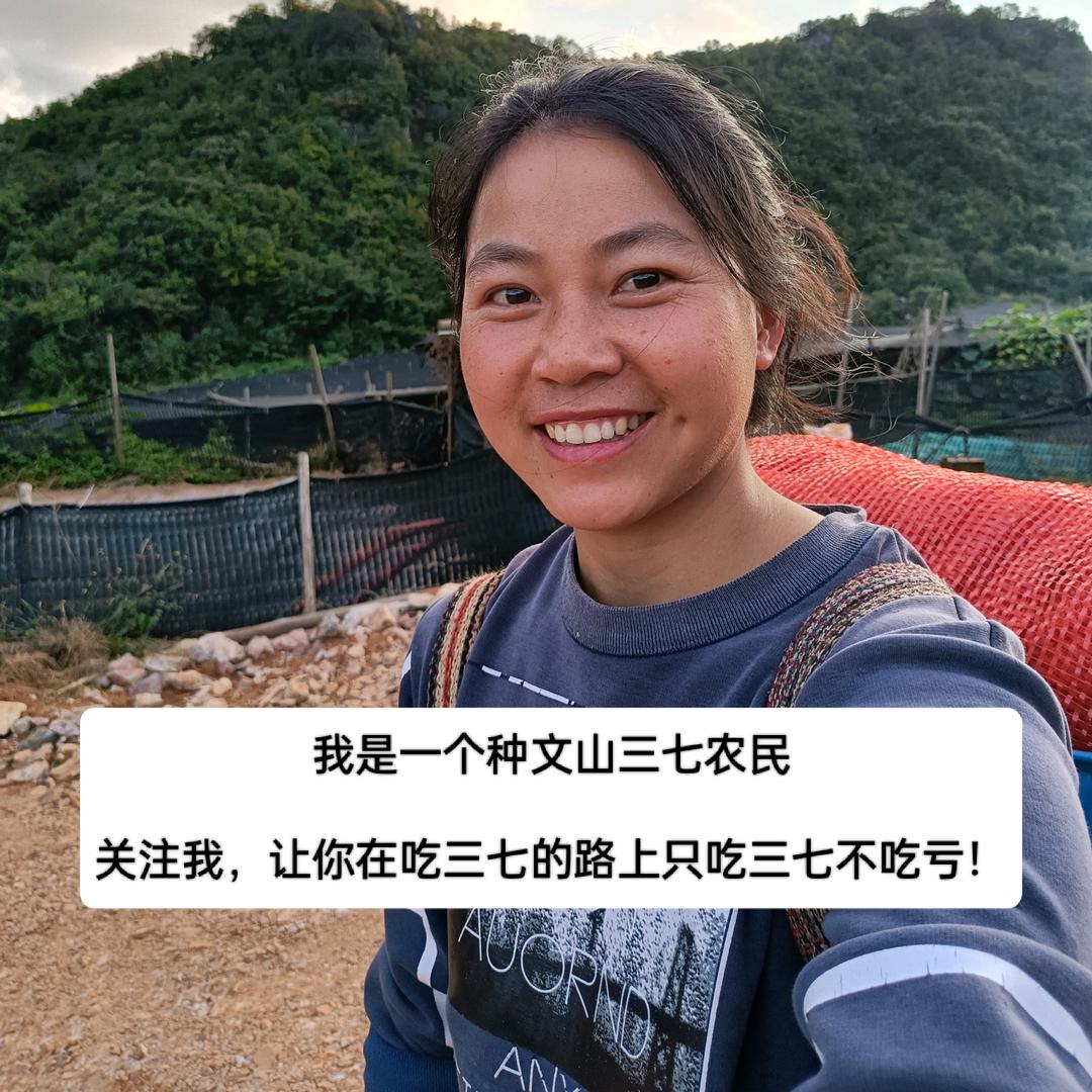 文山市返乡微文三七店