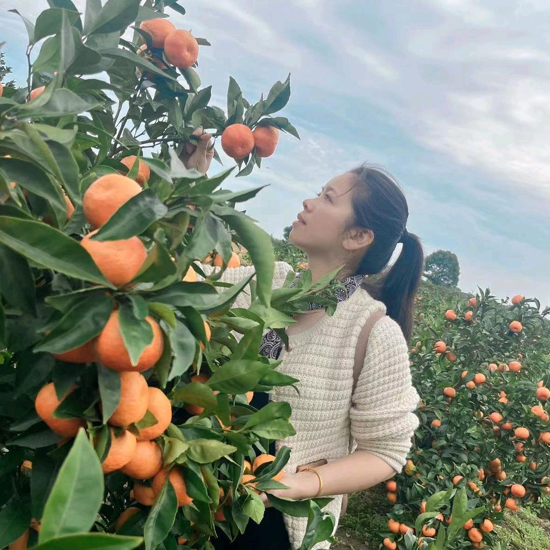 宁海人纱窗陈姐