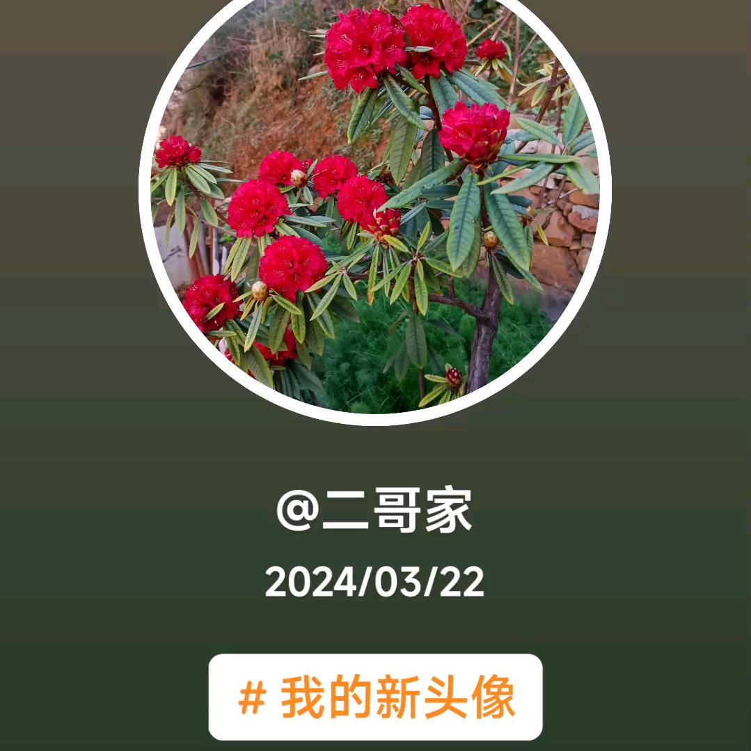 溪溪在来