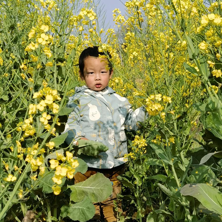 娃妈带娃成长录