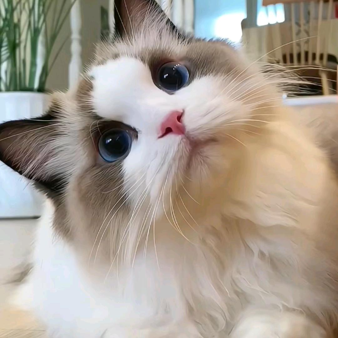 再无