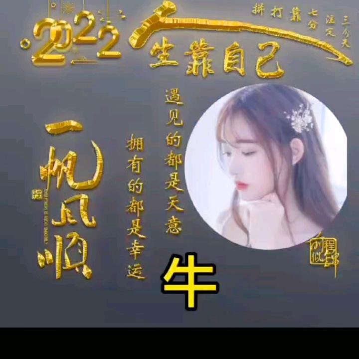 心雨☔️