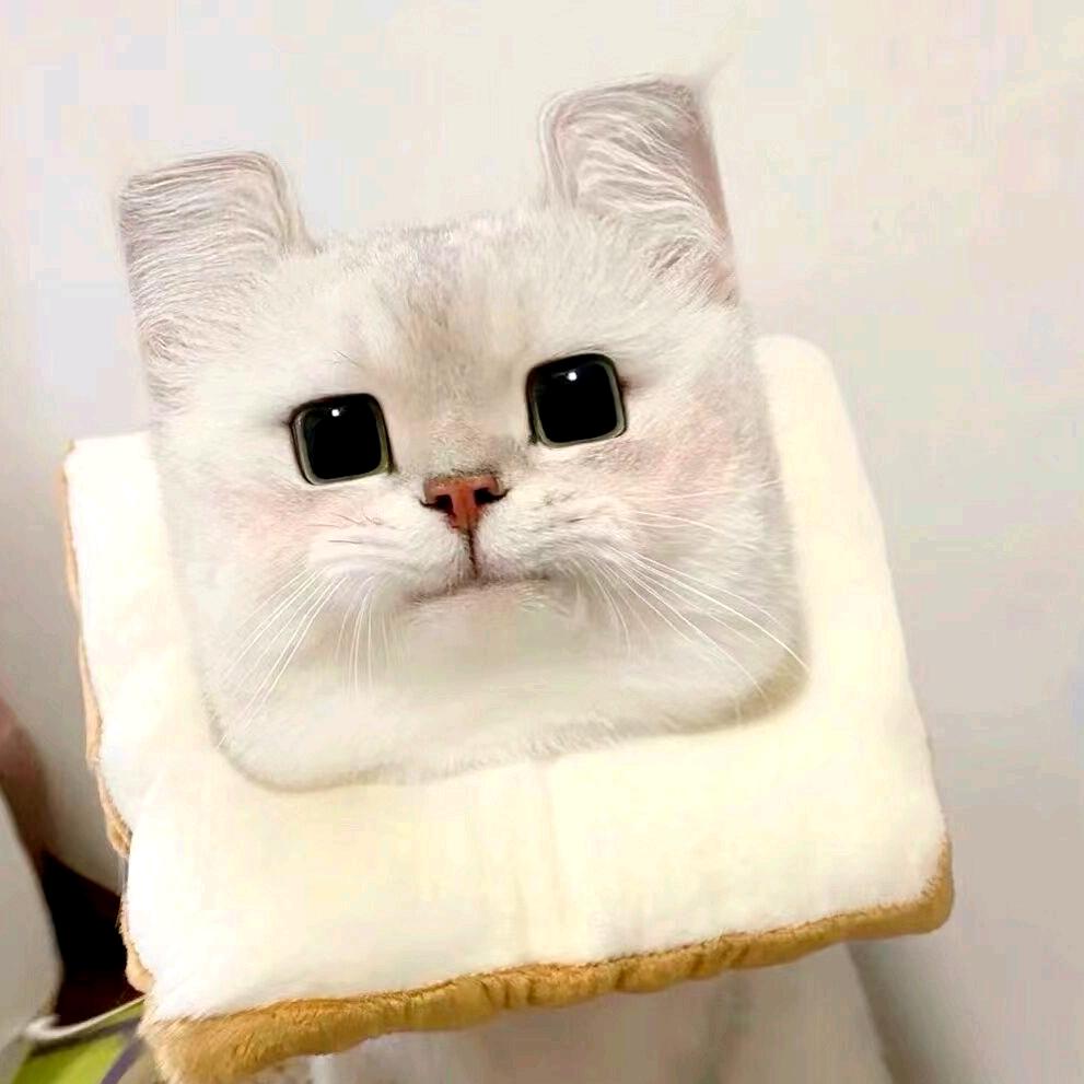 财大柚