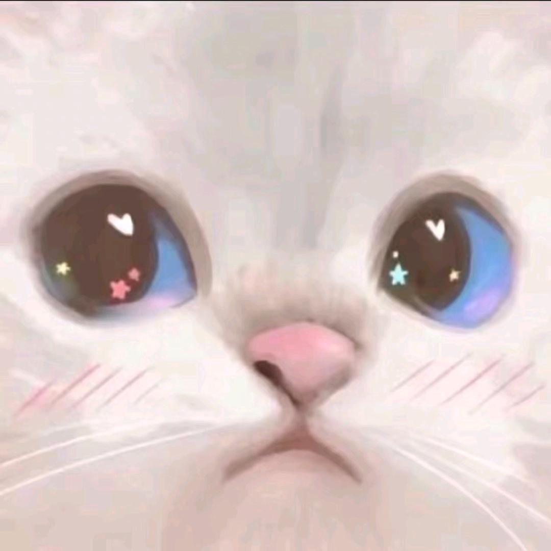 🌈秋落枫亦归