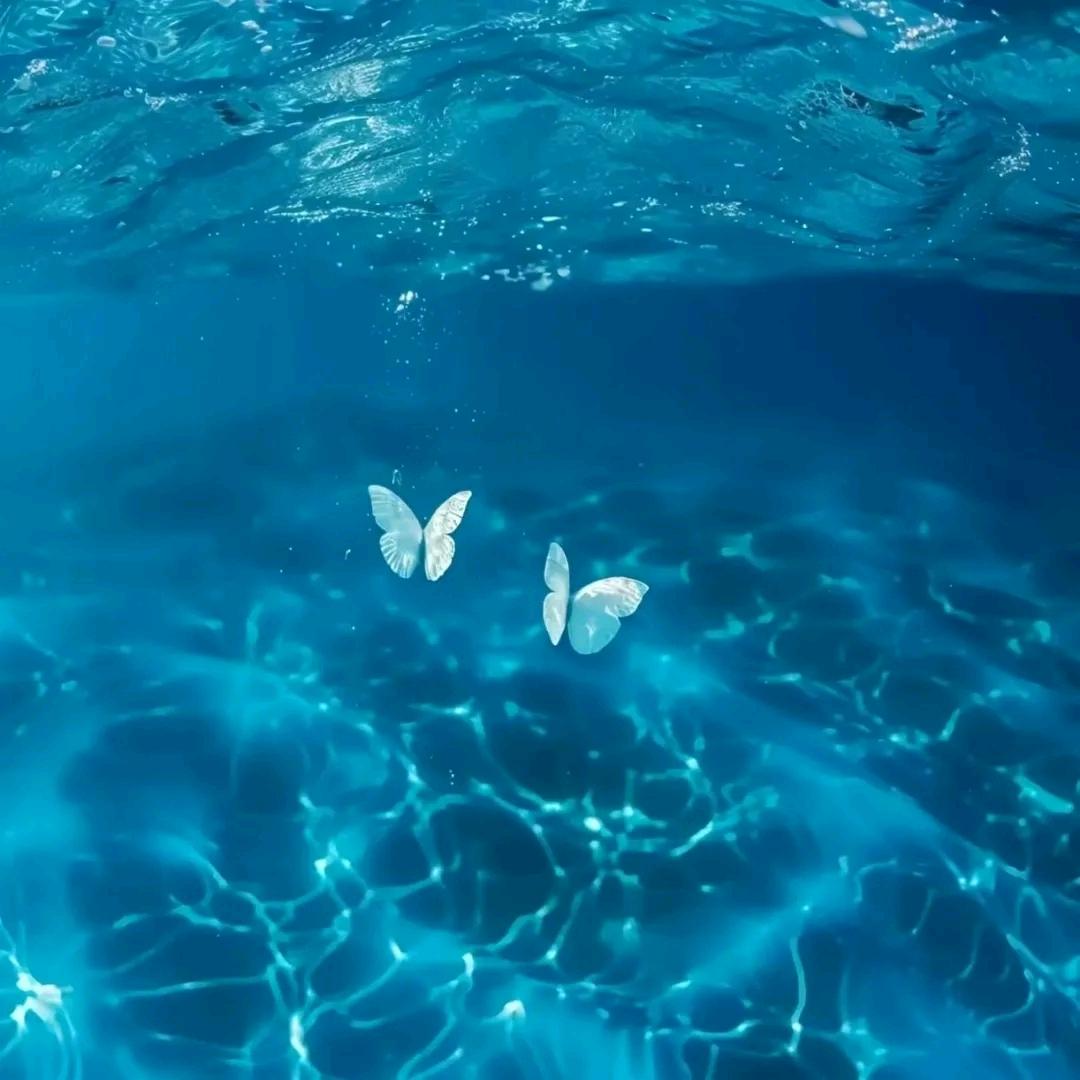 爱喝点的蛤蟆仙女