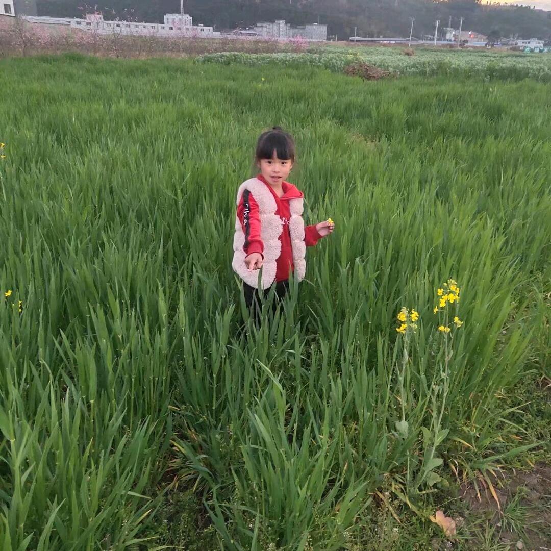 一半努力，一半幸运