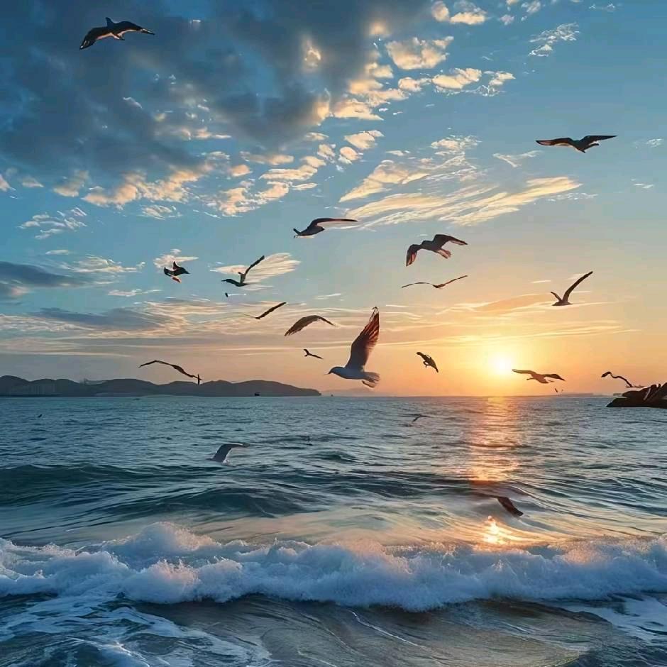 🌈🌈🌈放飞心絮